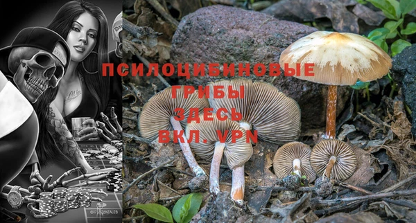mix Абинск