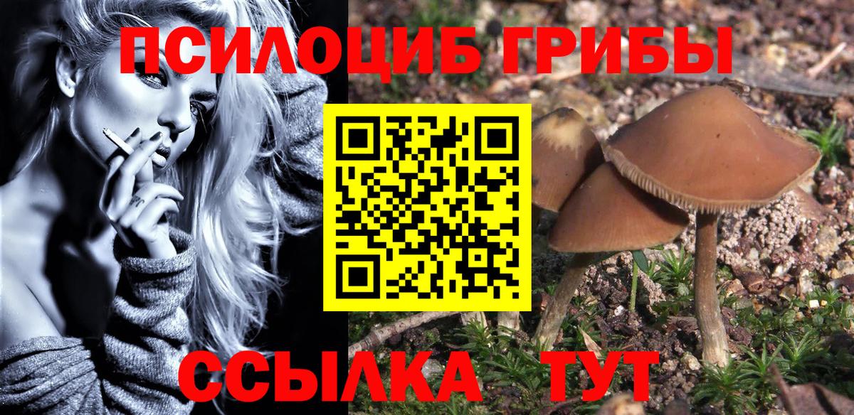 Галлюциногенные грибы Psilocybe  Вход с VPN  Лангепас 